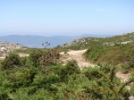 DSC01102.JPG