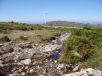 DSC01105.JPG