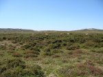 DSC01110.JPG