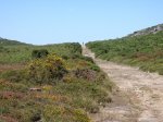 DSC01112.JPG