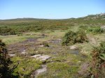 DSC01119.JPG