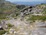 DSC01143.JPG