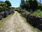 DSC01146.JPG