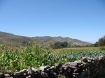 DSC01147.JPG