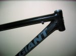 Giant 002.jpg