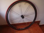 bici papa 018.jpg