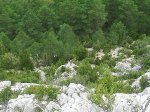 estiu08 049.jpg