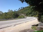 DSC00960.jpg