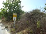 DSC00743.JPG