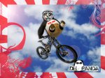 Copia de dh-panda.jpg