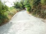 DSC00770.JPG