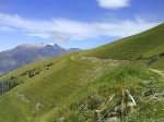 DSC00042.jpg