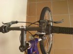 DSC01815.JPG