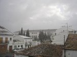 DSC02008.jpg