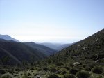 DSC02009.jpg
