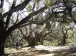 DSC02017.jpg