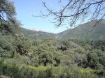 DSC02025.jpg