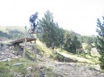 m_IMG_2695.jpg