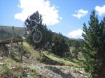m_IMG_2696.jpg
