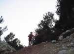 000_0356.jpg