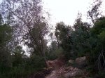 000_0359.jpg