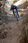 DSC_0682.jpg