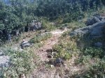 m_IMAGE_013.jpg