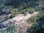 m_IMAGE_014.jpg