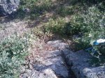 m_IMAGE_015.jpg