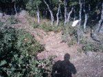 m_IMAGE_016.jpg
