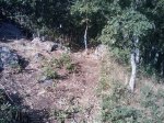 m_IMAGE_017.jpg