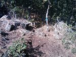 m_IMAGE_018.jpg