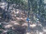 m_IMAGE_020.jpg