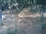 m_IMAGE_024.jpg