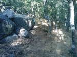 m_IMAGE_025.jpg