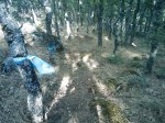 m_IMAGE_028.jpg