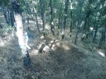 m_IMAGE_030.jpg