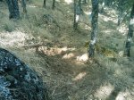 m_IMAGE_031.jpg