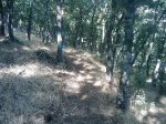 m_IMAGE_033.jpg