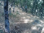 m_IMAGE_034.jpg