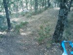 m_IMAGE_036.jpg