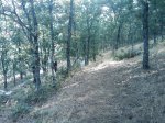 m_IMAGE_037.jpg