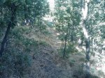 m_IMAGE_041.jpg