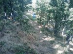 m_IMAGE_042.jpg