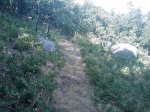 m_IMAGE_044.jpg