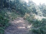 m_IMAGE_045.jpg