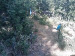 m_IMAGE_046.jpg