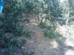 m_IMAGE_047.jpg