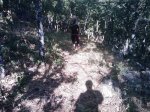 m_IMAGE_057.jpg