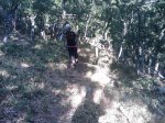 m_IMAGE_058.jpg